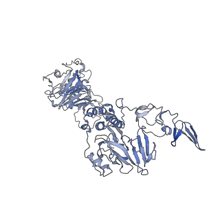 32713_7wqt_A_v1-1
Cryo-EM structure of VWF D'D3 dimer complexed with D1D2 at 4.3 angstron resolution (VWF tube)