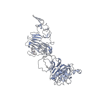 32713_7wqt_B_v1-1
Cryo-EM structure of VWF D'D3 dimer complexed with D1D2 at 4.3 angstron resolution (VWF tube)