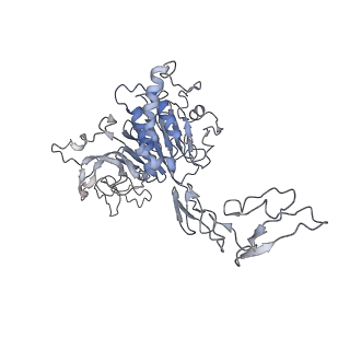 32713_7wqt_C_v1-1
Cryo-EM structure of VWF D'D3 dimer complexed with D1D2 at 4.3 angstron resolution (VWF tube)