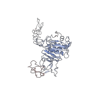 32713_7wqt_D_v1-1
Cryo-EM structure of VWF D'D3 dimer complexed with D1D2 at 4.3 angstron resolution (VWF tube)