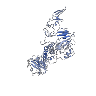 32713_7wqt_E_v1-1
Cryo-EM structure of VWF D'D3 dimer complexed with D1D2 at 4.3 angstron resolution (VWF tube)
