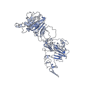 32713_7wqt_F_v1-1
Cryo-EM structure of VWF D'D3 dimer complexed with D1D2 at 4.3 angstron resolution (VWF tube)