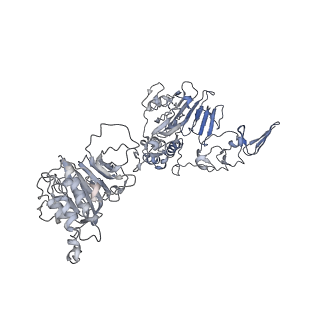 32713_7wqt_G_v1-1
Cryo-EM structure of VWF D'D3 dimer complexed with D1D2 at 4.3 angstron resolution (VWF tube)