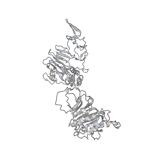 32713_7wqt_H_v1-1
Cryo-EM structure of VWF D'D3 dimer complexed with D1D2 at 4.3 angstron resolution (VWF tube)