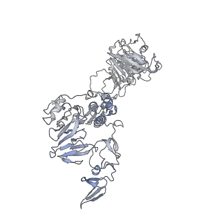 32713_7wqt_I_v1-1
Cryo-EM structure of VWF D'D3 dimer complexed with D1D2 at 4.3 angstron resolution (VWF tube)