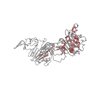 32713_7wqt_K_v1-1
Cryo-EM structure of VWF D'D3 dimer complexed with D1D2 at 4.3 angstron resolution (VWF tube)