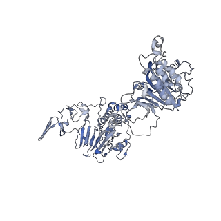 32713_7wqt_L_v1-1
Cryo-EM structure of VWF D'D3 dimer complexed with D1D2 at 4.3 angstron resolution (VWF tube)