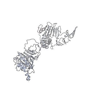 32713_7wqt_P_v1-1
Cryo-EM structure of VWF D'D3 dimer complexed with D1D2 at 4.3 angstron resolution (VWF tube)