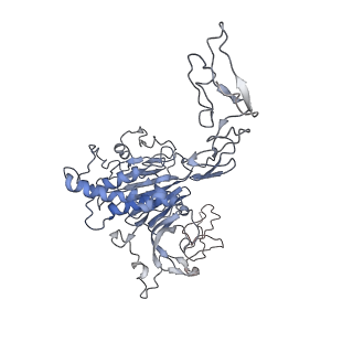 32713_7wqt_S_v1-1
Cryo-EM structure of VWF D'D3 dimer complexed with D1D2 at 4.3 angstron resolution (VWF tube)