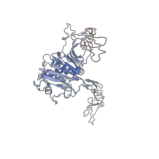 32713_7wqt_T_v1-1
Cryo-EM structure of VWF D'D3 dimer complexed with D1D2 at 4.3 angstron resolution (VWF tube)