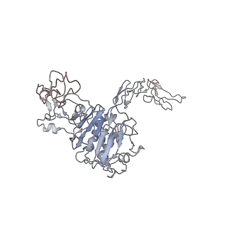 32713_7wqt_U_v1-1
Cryo-EM structure of VWF D'D3 dimer complexed with D1D2 at 4.3 angstron resolution (VWF tube)
