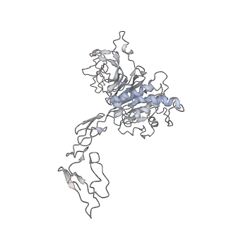 32713_7wqt_W_v1-1
Cryo-EM structure of VWF D'D3 dimer complexed with D1D2 at 4.3 angstron resolution (VWF tube)