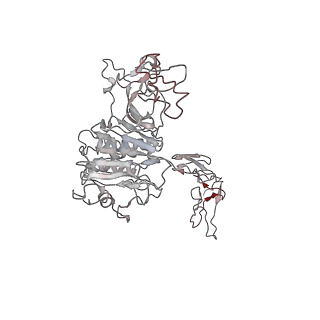 32713_7wqt_X_v1-1
Cryo-EM structure of VWF D'D3 dimer complexed with D1D2 at 4.3 angstron resolution (VWF tube)