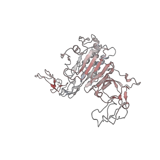 32713_7wqt_Y_v1-1
Cryo-EM structure of VWF D'D3 dimer complexed with D1D2 at 4.3 angstron resolution (VWF tube)