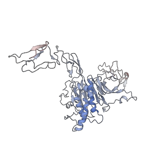 32713_7wqt_a_v1-1
Cryo-EM structure of VWF D'D3 dimer complexed with D1D2 at 4.3 angstron resolution (VWF tube)