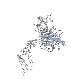 32713_7wqt_b_v1-1
Cryo-EM structure of VWF D'D3 dimer complexed with D1D2 at 4.3 angstron resolution (VWF tube)