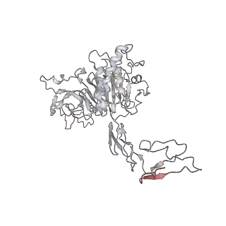 32713_7wqt_c_v1-1
Cryo-EM structure of VWF D'D3 dimer complexed with D1D2 at 4.3 angstron resolution (VWF tube)