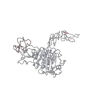 32713_7wqt_d_v1-1
Cryo-EM structure of VWF D'D3 dimer complexed with D1D2 at 4.3 angstron resolution (VWF tube)