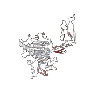 32713_7wqt_f_v1-1
Cryo-EM structure of VWF D'D3 dimer complexed with D1D2 at 4.3 angstron resolution (VWF tube)