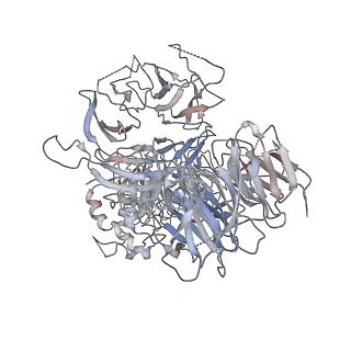 37752_8wqr_A_v1-0
Structure of the DDB1-AMBRA1 E3 ligase receptor complex linked to cell cycle regulation