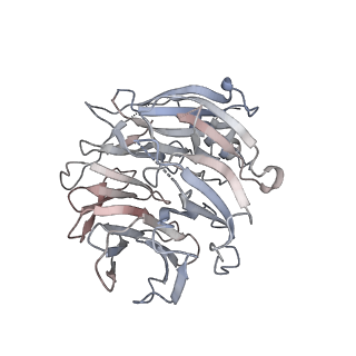 37752_8wqr_B_v1-0
Structure of the DDB1-AMBRA1 E3 ligase receptor complex linked to cell cycle regulation