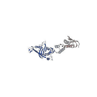 6675_5wq7_G_v1-4
CryoEM structure of type II secretion system secretin GspD in E.coli K12