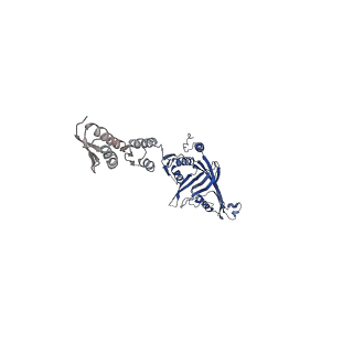 6675_5wq7_M_v1-4
CryoEM structure of type II secretion system secretin GspD in E.coli K12