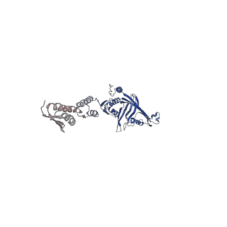 6675_5wq7_N_v1-3
CryoEM structure of type II secretion system secretin GspD in E.coli K12