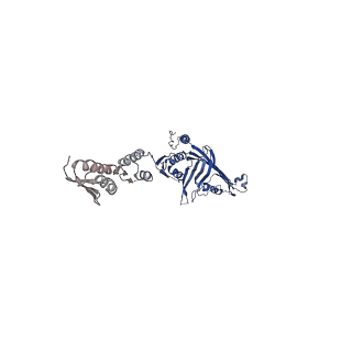 6675_5wq7_N_v1-4
CryoEM structure of type II secretion system secretin GspD in E.coli K12