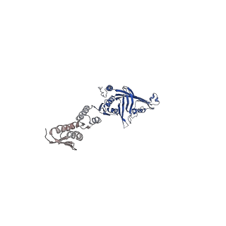 6675_5wq7_O_v1-4
CryoEM structure of type II secretion system secretin GspD in E.coli K12