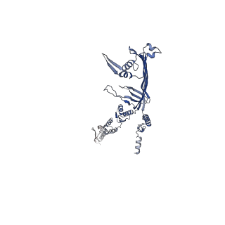 6677_5wq9_I_v1-2
CryoEM structure of type II secretion system secretin GspD G453A mutant in Vibrio cholerae