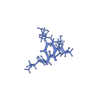 21875_6wr2_A_v1-1
ClpP and ClpX IGF loop in ClpX-ClpP complex bound to ssrA tagged GFP