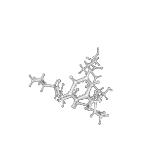 21875_6wr2_B_v1-1
ClpP and ClpX IGF loop in ClpX-ClpP complex bound to ssrA tagged GFP