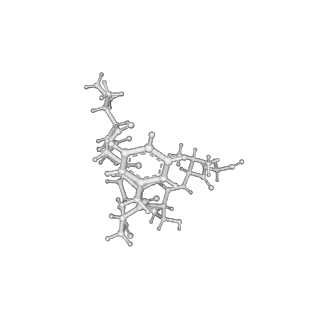 21875_6wr2_C_v1-1
ClpP and ClpX IGF loop in ClpX-ClpP complex bound to ssrA tagged GFP