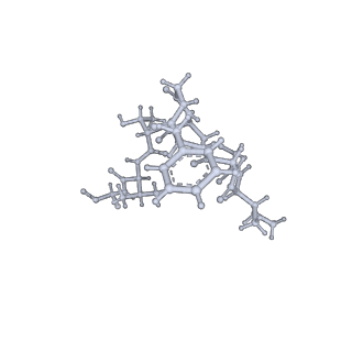 21875_6wr2_F_v1-1
ClpP and ClpX IGF loop in ClpX-ClpP complex bound to ssrA tagged GFP