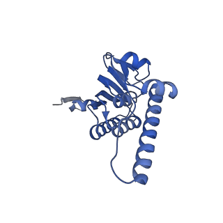 21875_6wr2_H_v1-1
ClpP and ClpX IGF loop in ClpX-ClpP complex bound to ssrA tagged GFP