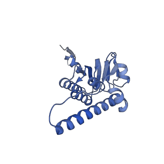 21875_6wr2_I_v1-1
ClpP and ClpX IGF loop in ClpX-ClpP complex bound to ssrA tagged GFP