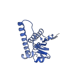 21875_6wr2_K_v1-1
ClpP and ClpX IGF loop in ClpX-ClpP complex bound to ssrA tagged GFP