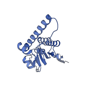 21875_6wr2_L_v1-1
ClpP and ClpX IGF loop in ClpX-ClpP complex bound to ssrA tagged GFP