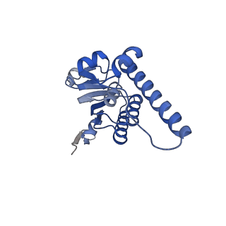 21875_6wr2_N_v1-1
ClpP and ClpX IGF loop in ClpX-ClpP complex bound to ssrA tagged GFP