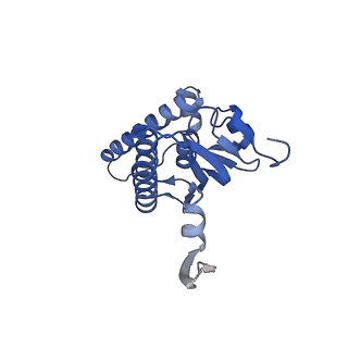 21875_6wr2_i_v1-1
ClpP and ClpX IGF loop in ClpX-ClpP complex bound to ssrA tagged GFP