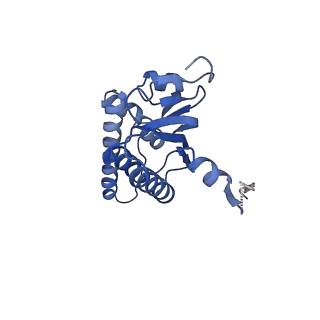 21875_6wr2_j_v1-1
ClpP and ClpX IGF loop in ClpX-ClpP complex bound to ssrA tagged GFP