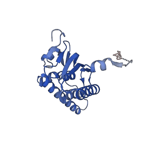 21875_6wr2_k_v1-1
ClpP and ClpX IGF loop in ClpX-ClpP complex bound to ssrA tagged GFP