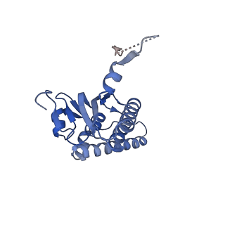 21875_6wr2_l_v1-1
ClpP and ClpX IGF loop in ClpX-ClpP complex bound to ssrA tagged GFP