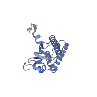 21875_6wr2_m_v1-1
ClpP and ClpX IGF loop in ClpX-ClpP complex bound to ssrA tagged GFP