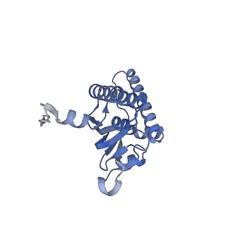 21875_6wr2_n_v1-1
ClpP and ClpX IGF loop in ClpX-ClpP complex bound to ssrA tagged GFP