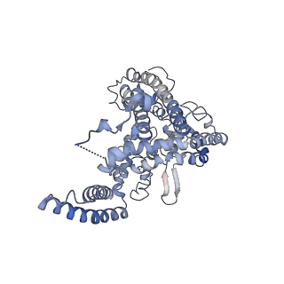 21876_6wr4_A_v1-1
Structure of human ATG9A, the only transmembrane protein of the core autophagy machinery