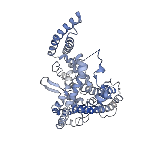 21876_6wr4_B_v1-1
Structure of human ATG9A, the only transmembrane protein of the core autophagy machinery