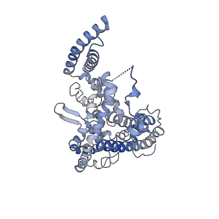 21876_6wr4_B_v1-2
Structure of human ATG9A, the only transmembrane protein of the core autophagy machinery