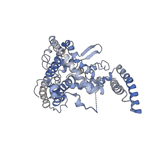 21876_6wr4_C_v1-1
Structure of human ATG9A, the only transmembrane protein of the core autophagy machinery